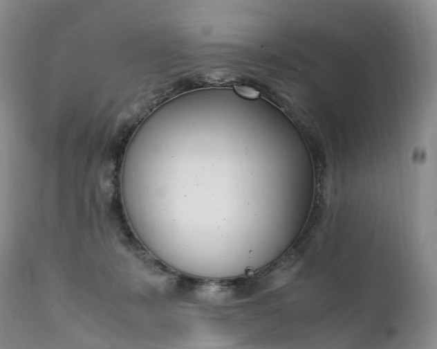 X0000111390319200907241340