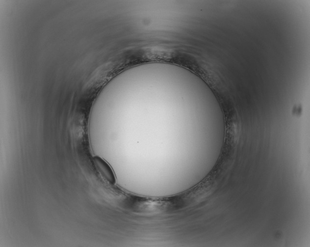 X0000111390323200907241340