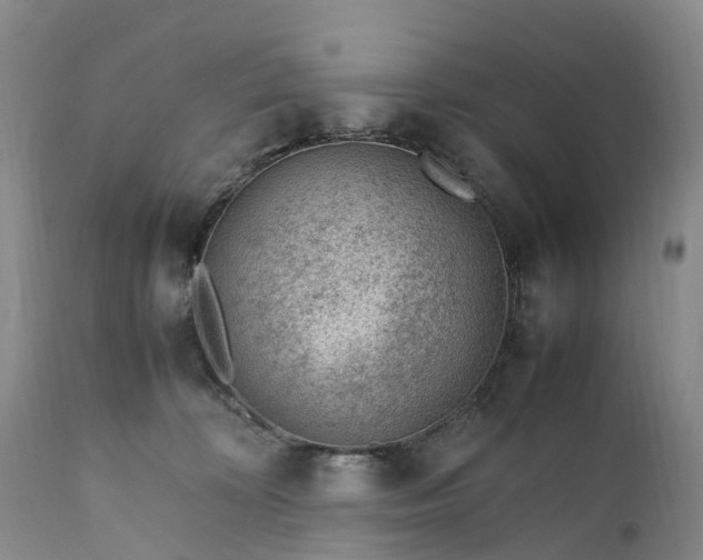 X0000111390324200907241340