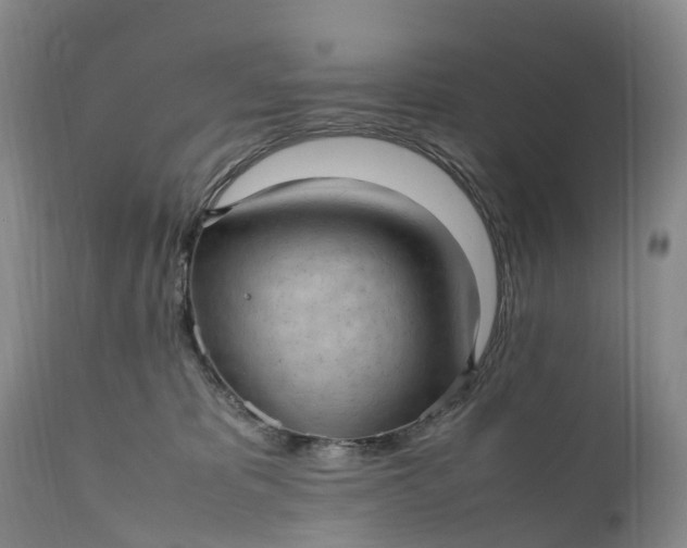 X0000111390325200907241340