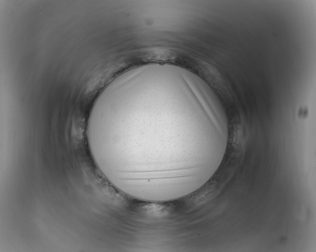 X0000111390326200907241340