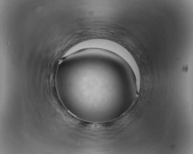 X0000111390327200907241340