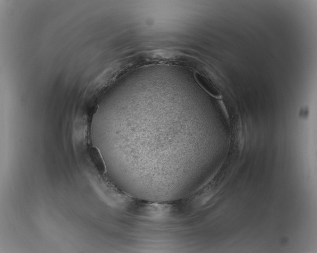 X0000111390328200907241340