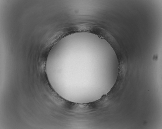 X0000111390329200907241340