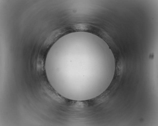 X0000111390330200907241340