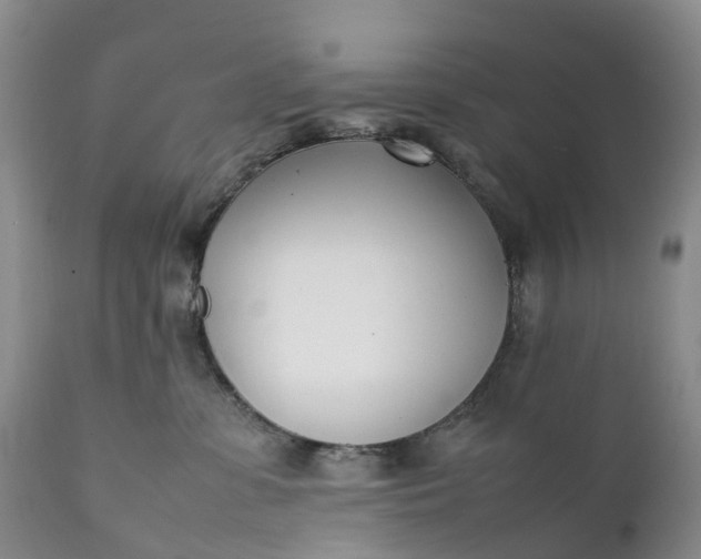 X0000111390331200907241340