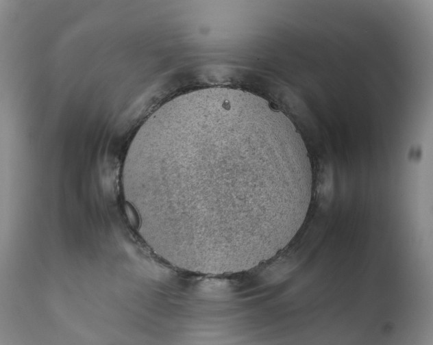 X0000111390332200907241340