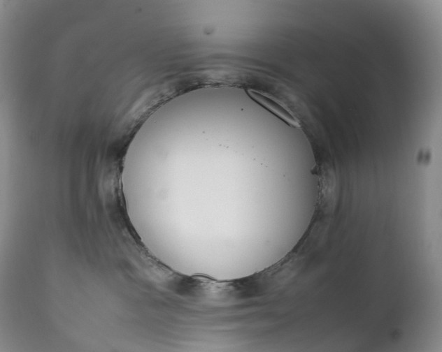 X0000111390333200907241340