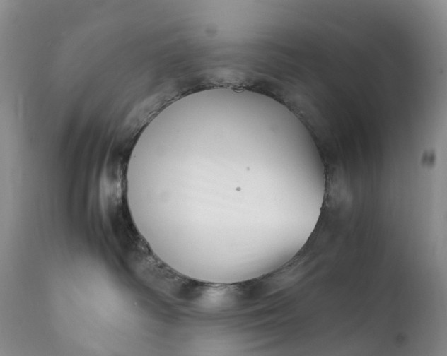 X0000111390334200907241340