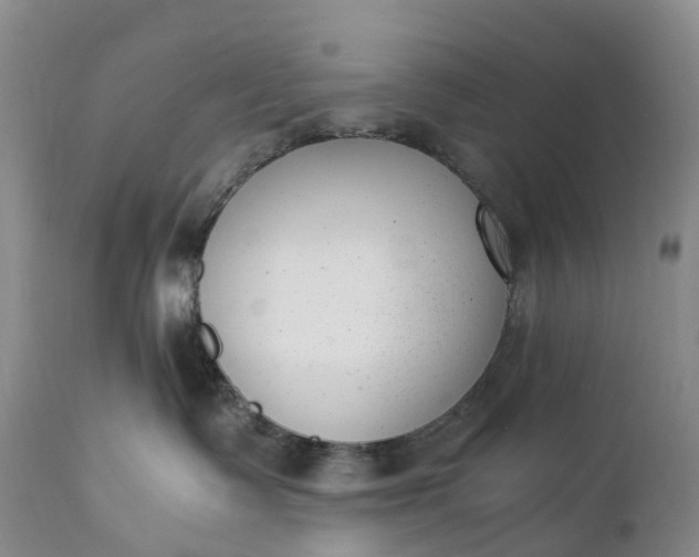 X0000111390335200907241339