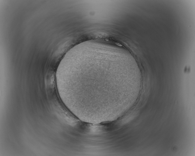 X0000111390336200907241339