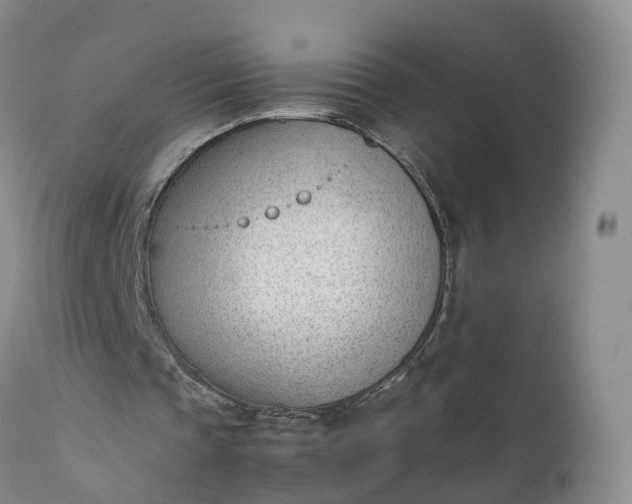 X0000111390337200907241339