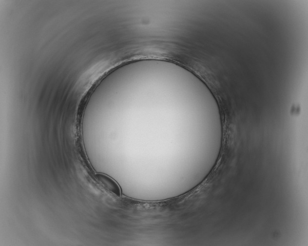 X0000111390338200907241339