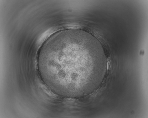 X0000111390339200907241339