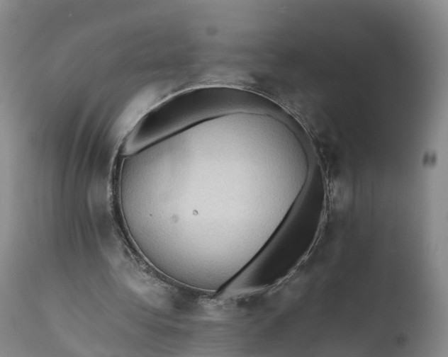 X0000111390340200907241339