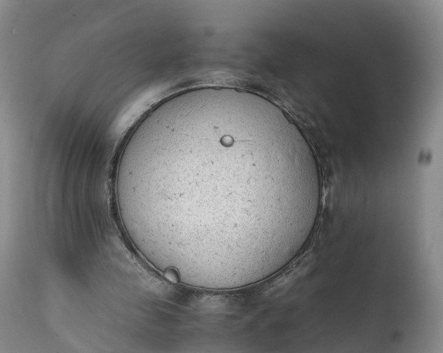 X0000111390341200907241339