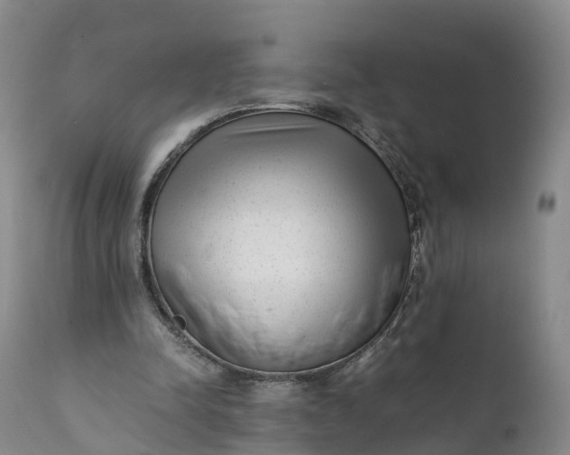 X0000111390342200907241339