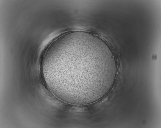 X0000111390343200907241339