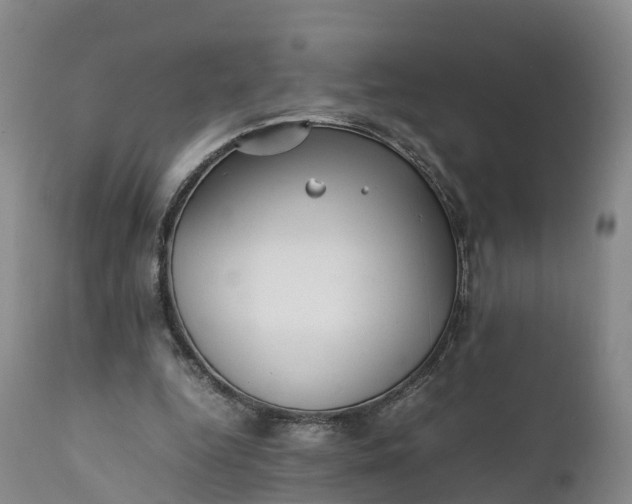 X0000111390344200907241339