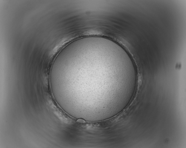 X0000111390345200907241339