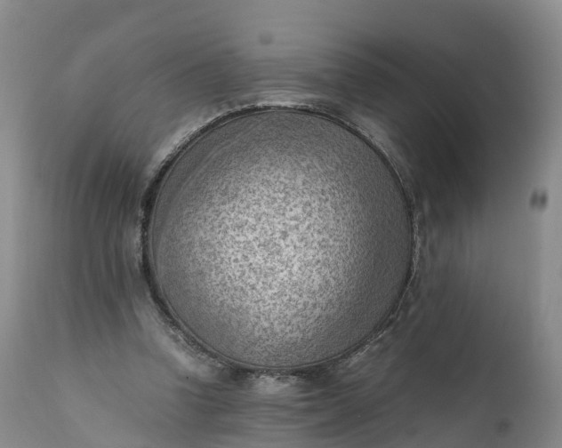 X0000111390346200907241339