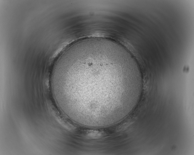 X0000111390347200907241339