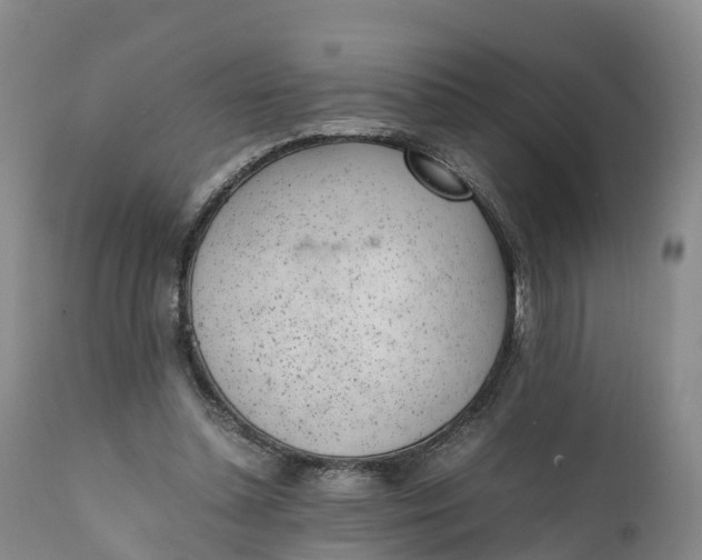 X0000111390348200907241339