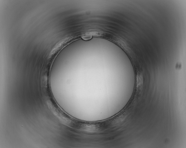 X0000111390349200907241339