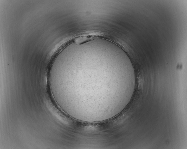 X0000111390350200907241339