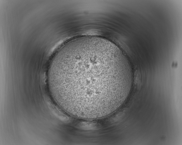 X0000111390351200907241339