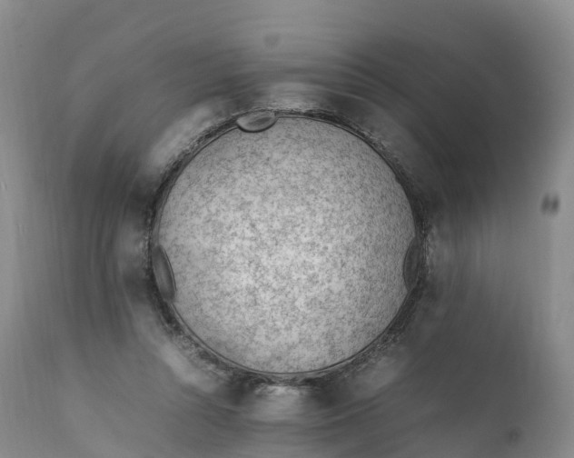 X0000111390352200907241339