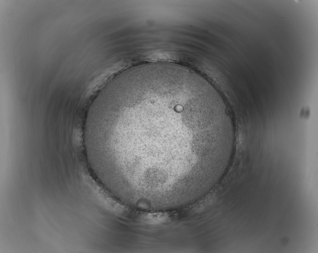 X0000111390353200907241339