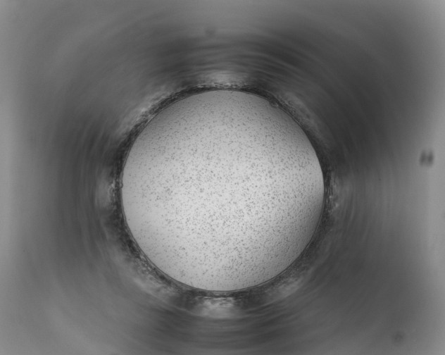 X0000111390355200907241339