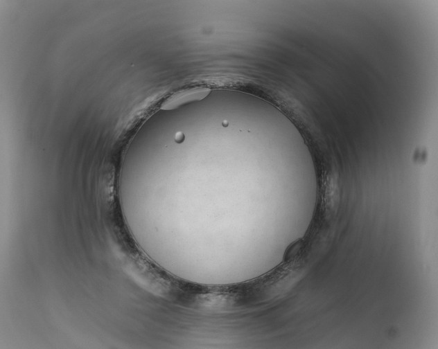 X0000111390356200907241339