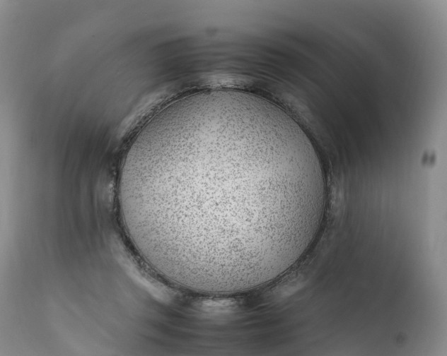 X0000111390357200907241339