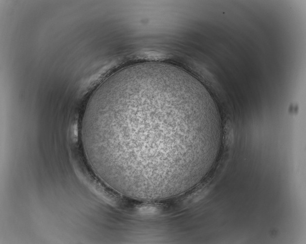 X0000111390358200907241339