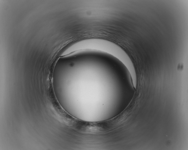 X0000111390360200907241339