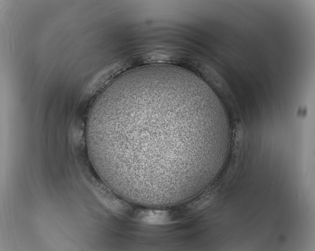 X0000111390361200907241339