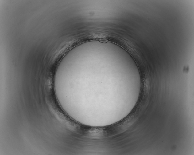 X0000111390362200907241339