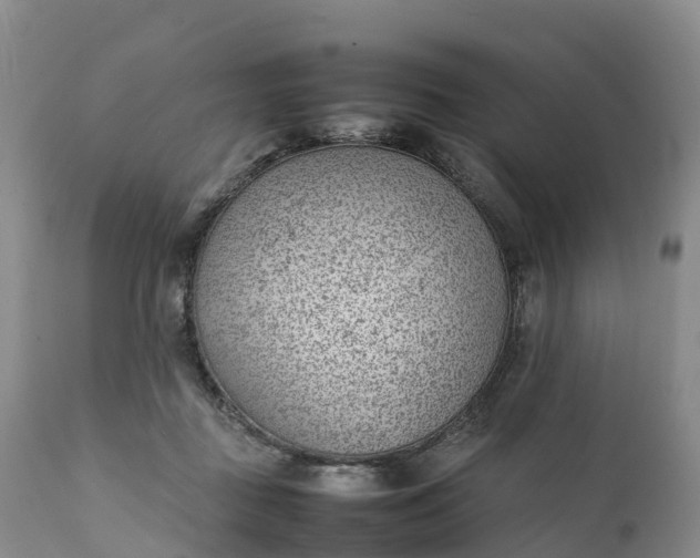 X0000111390363200907241339