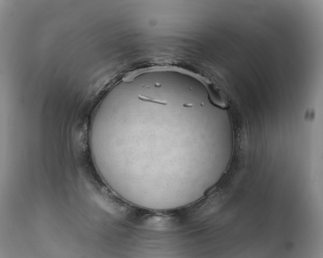 X0000111390364200907241339