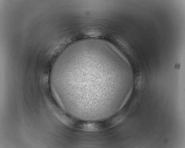 X0000111390365200907241339