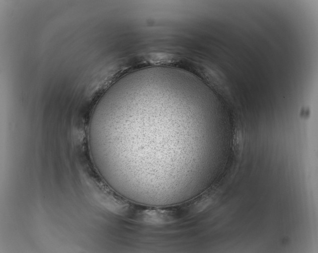 X0000111390367200907241339