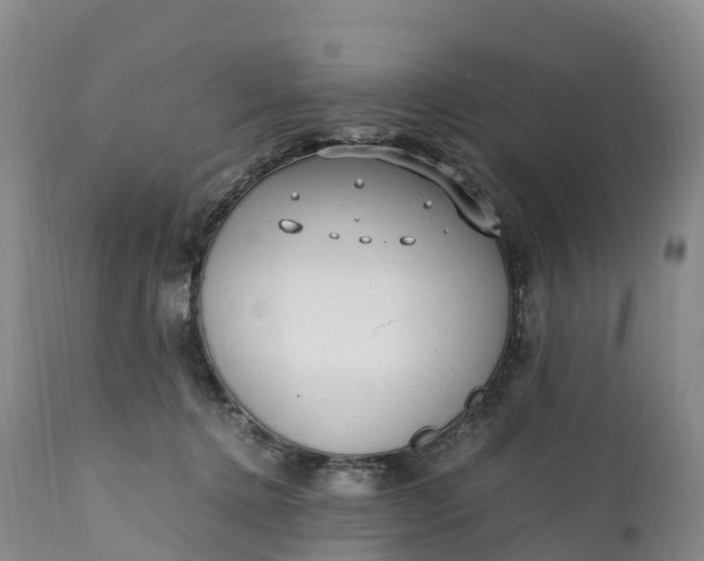 X0000111390368200907241339