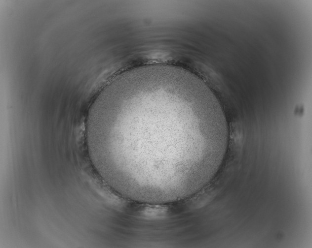 X0000111390369200907241339