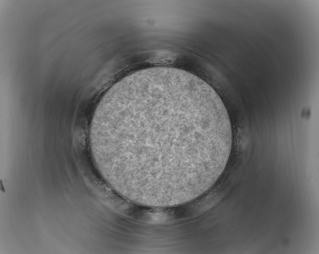 X0000111390370200907241339