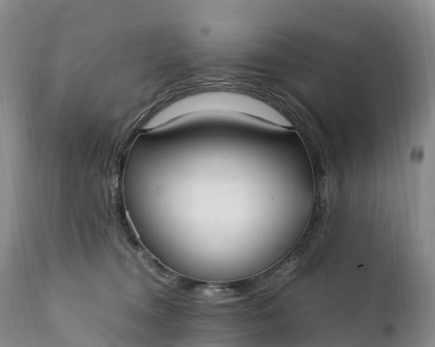 X0000111390372200907241339