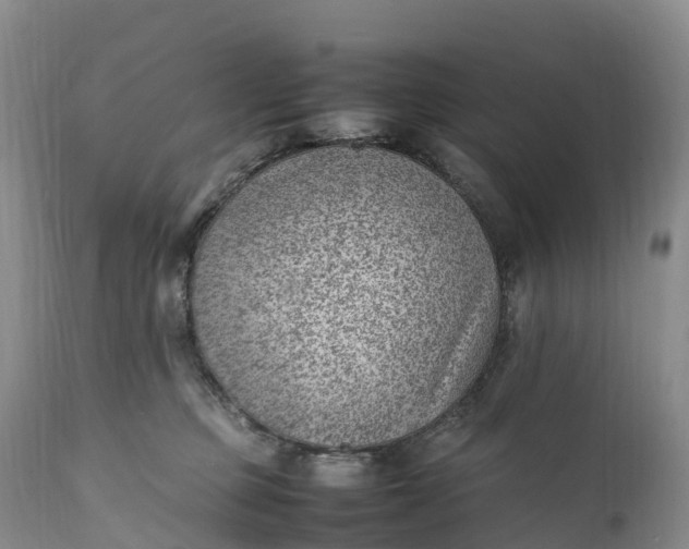 X0000111390373200907241339