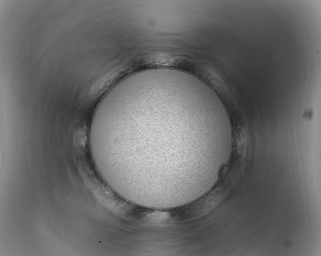 X0000111390374200907241339