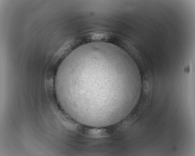 X0000111390375200907241339